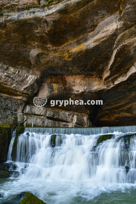 Résurgence de la Loue (Jura, France) - gryphea.org